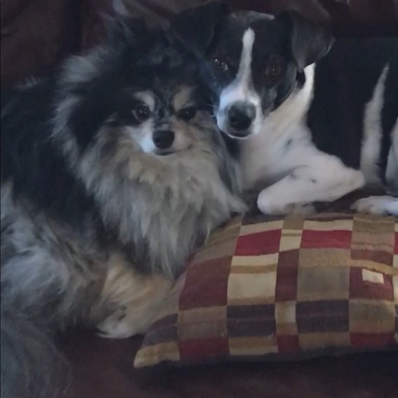 Meet your Posher, Laurie - Picture 14 of 15